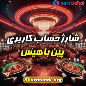 شارژ حساب کاربری پین باهیس