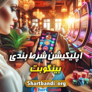 اپلیکیشن شرط بندی بینگوبت